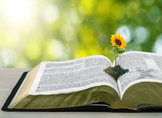 Frag den Rabbi: Halacha & Klimaschutz